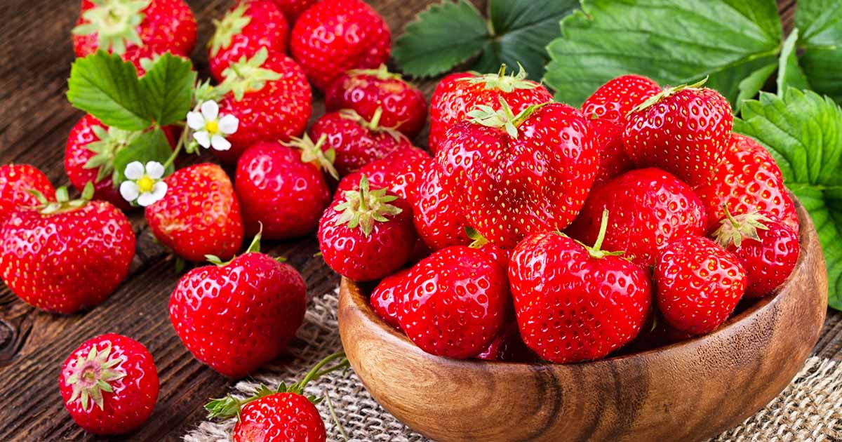 How to Grow Strawberries: A Complete Guide to Sweet, Homegrown Fruit